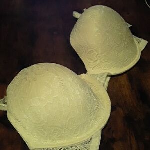 NWT 44D Pure Beauty Rene Rofe Cramy Lace Sexy Lined Underwire Bra